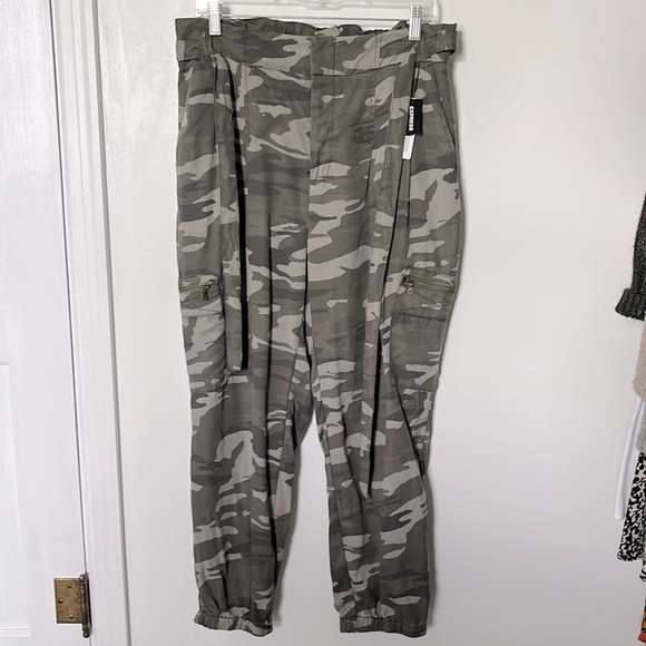 Express Pants - Express High Waisted Belted Cargo Pant